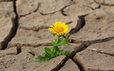 10 Marketing Skills You Need If You Ever Want To Survive 2021 and Beyond