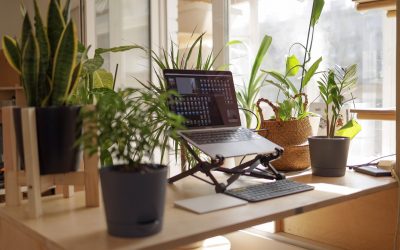 Everything you need to know about working from home in 2021
