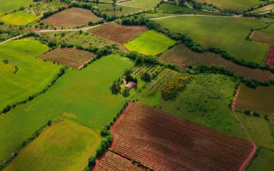 Housing developers’ land banking myth debunked by study