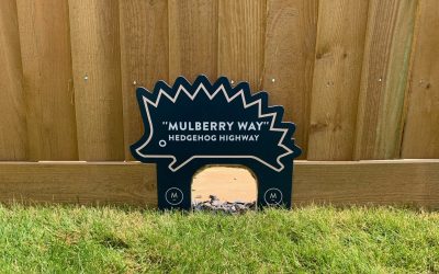 Eco sustainability features help to encourage wildlife at Bicester development