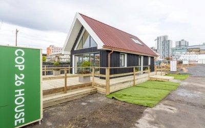 Homegrown Timber: Investing in Sustainable Success